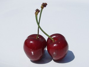 "Cherries" by Amanda Slater under CC BY 4.0
