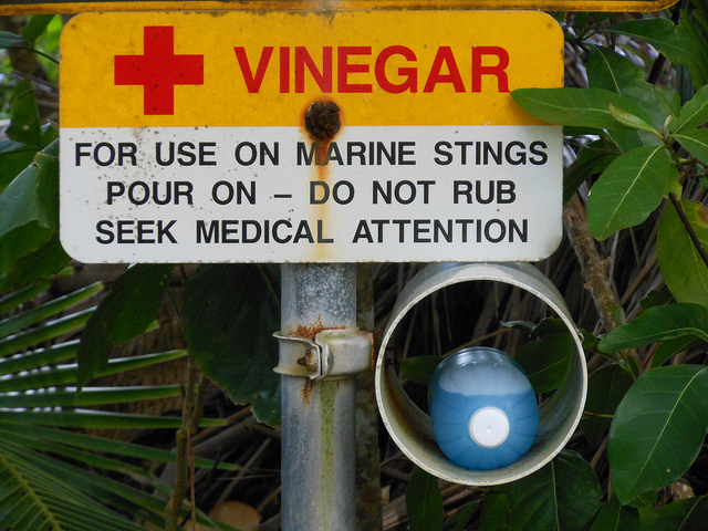 "Medicinal Vinegar" by Michael Coghlan under CC BY-SA 4.0